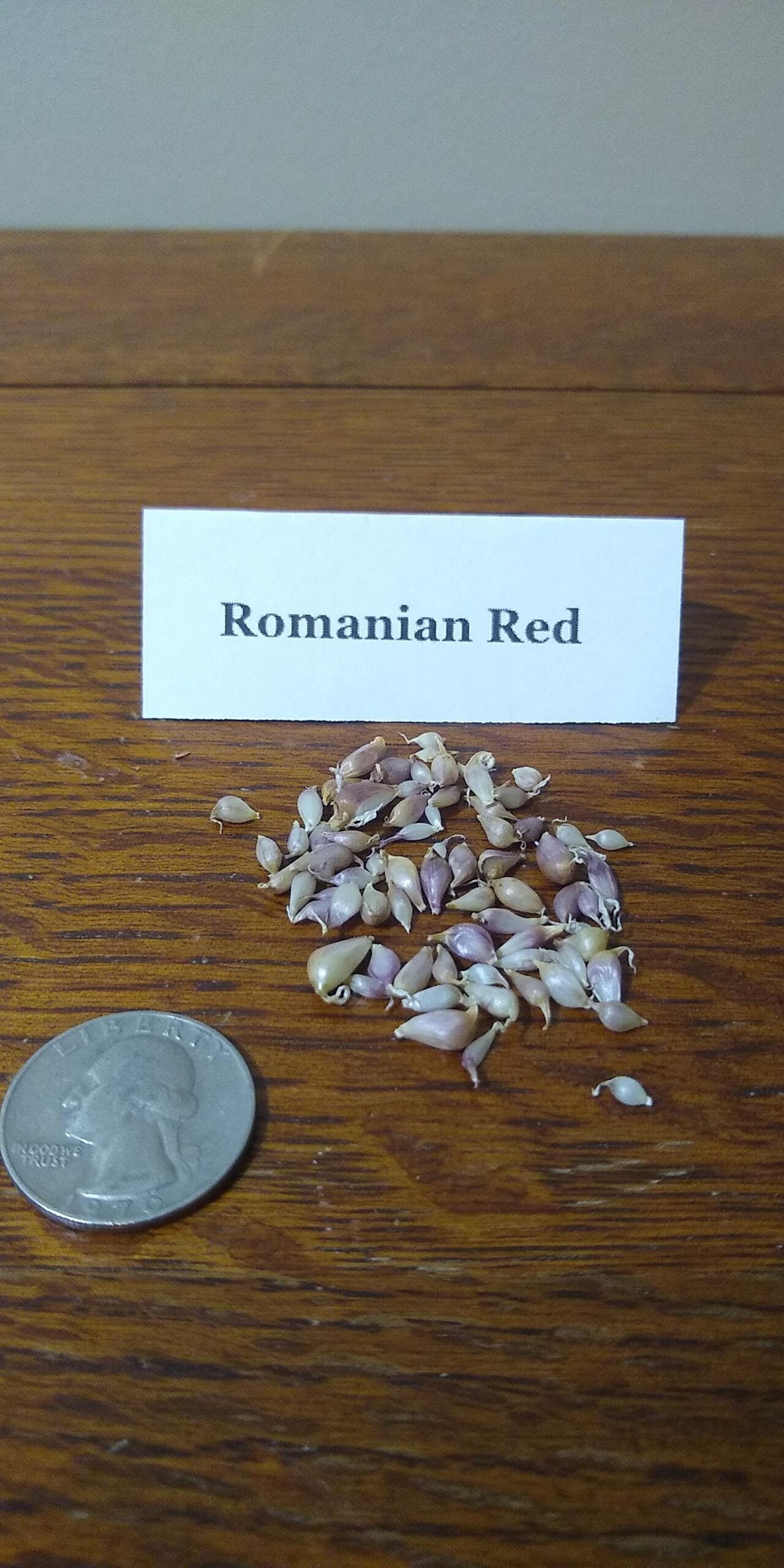 Sample Pack - Image 33