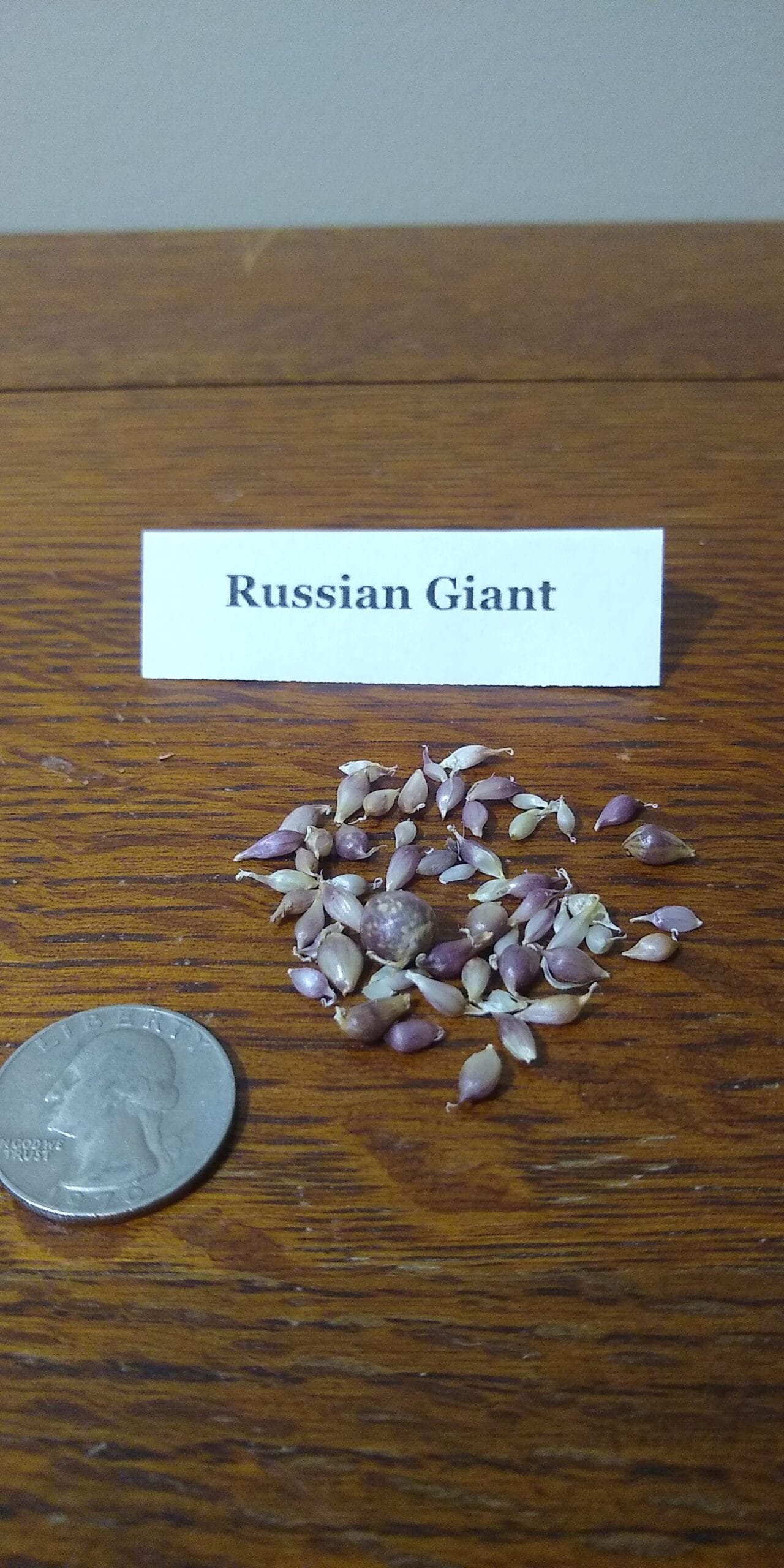 Sample Pack - Image 34