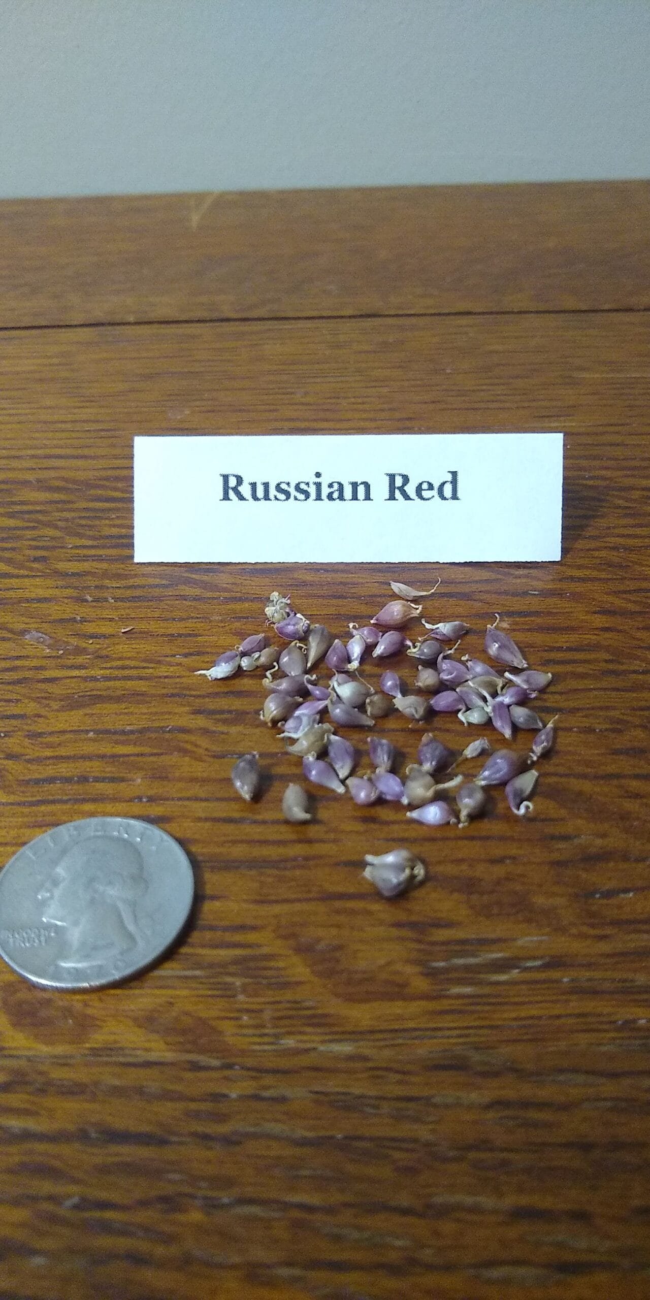 Sample Pack - Image 35