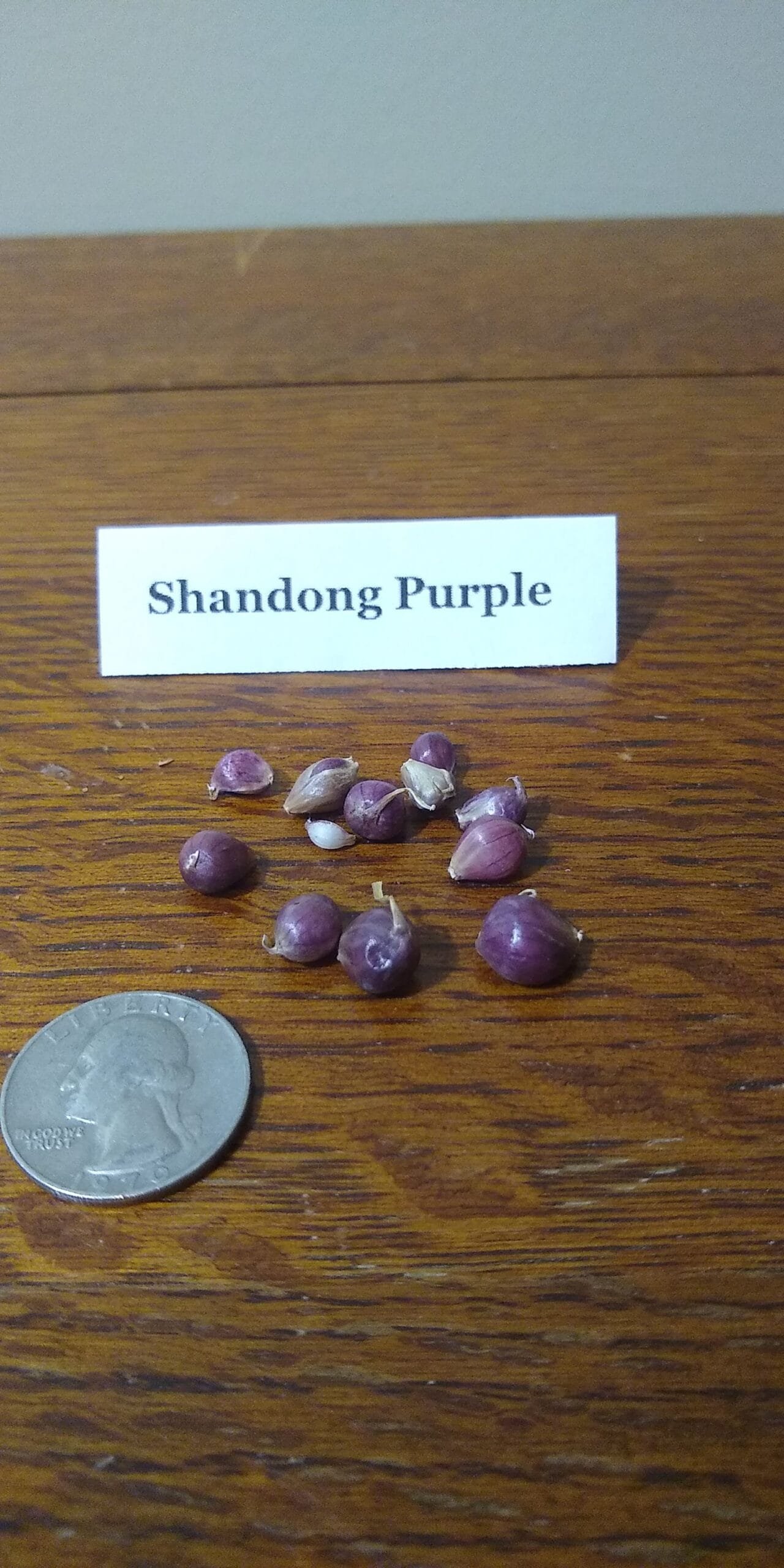 Sample Pack - Image 36