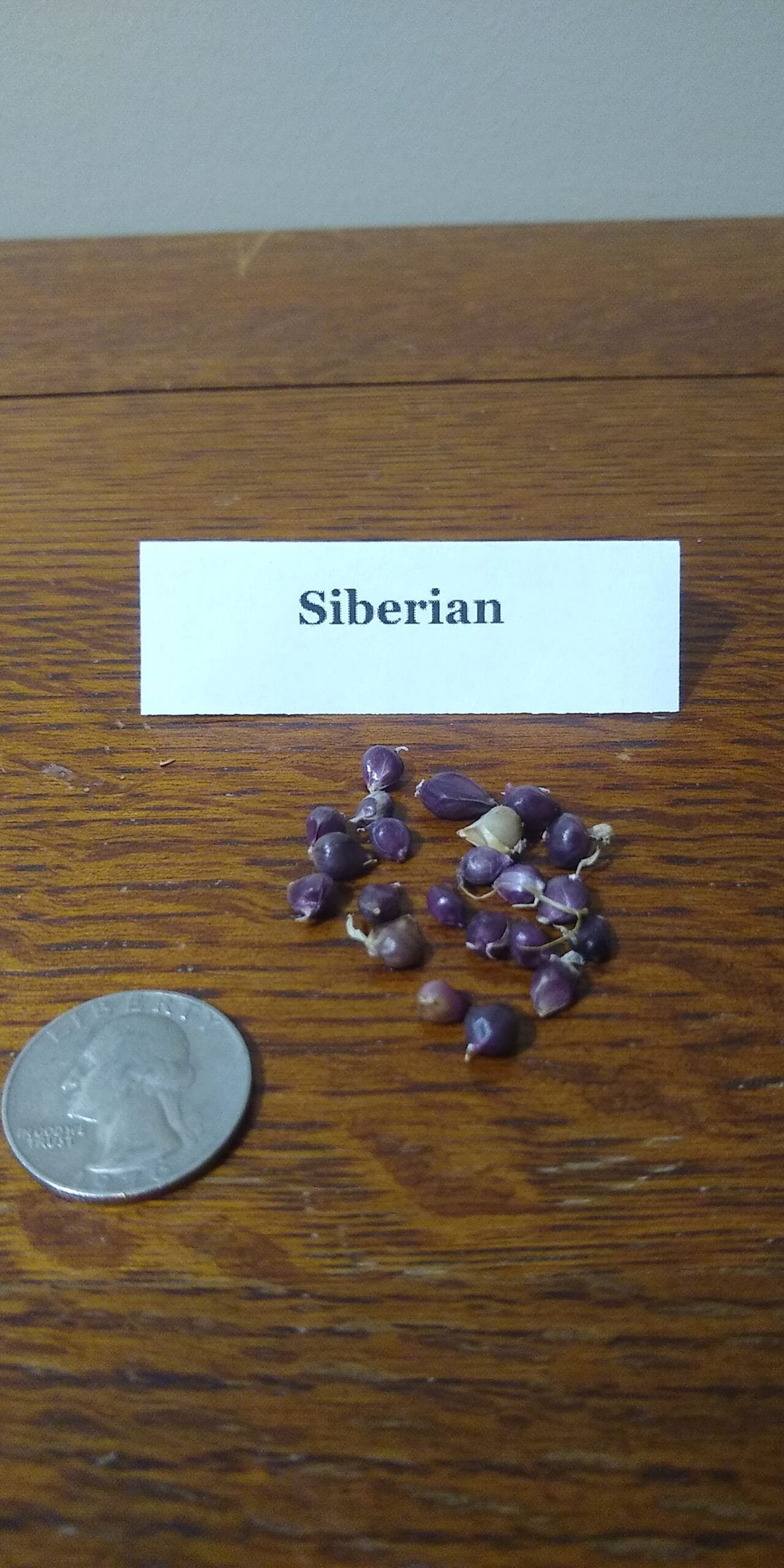 Sample Pack - Image 37