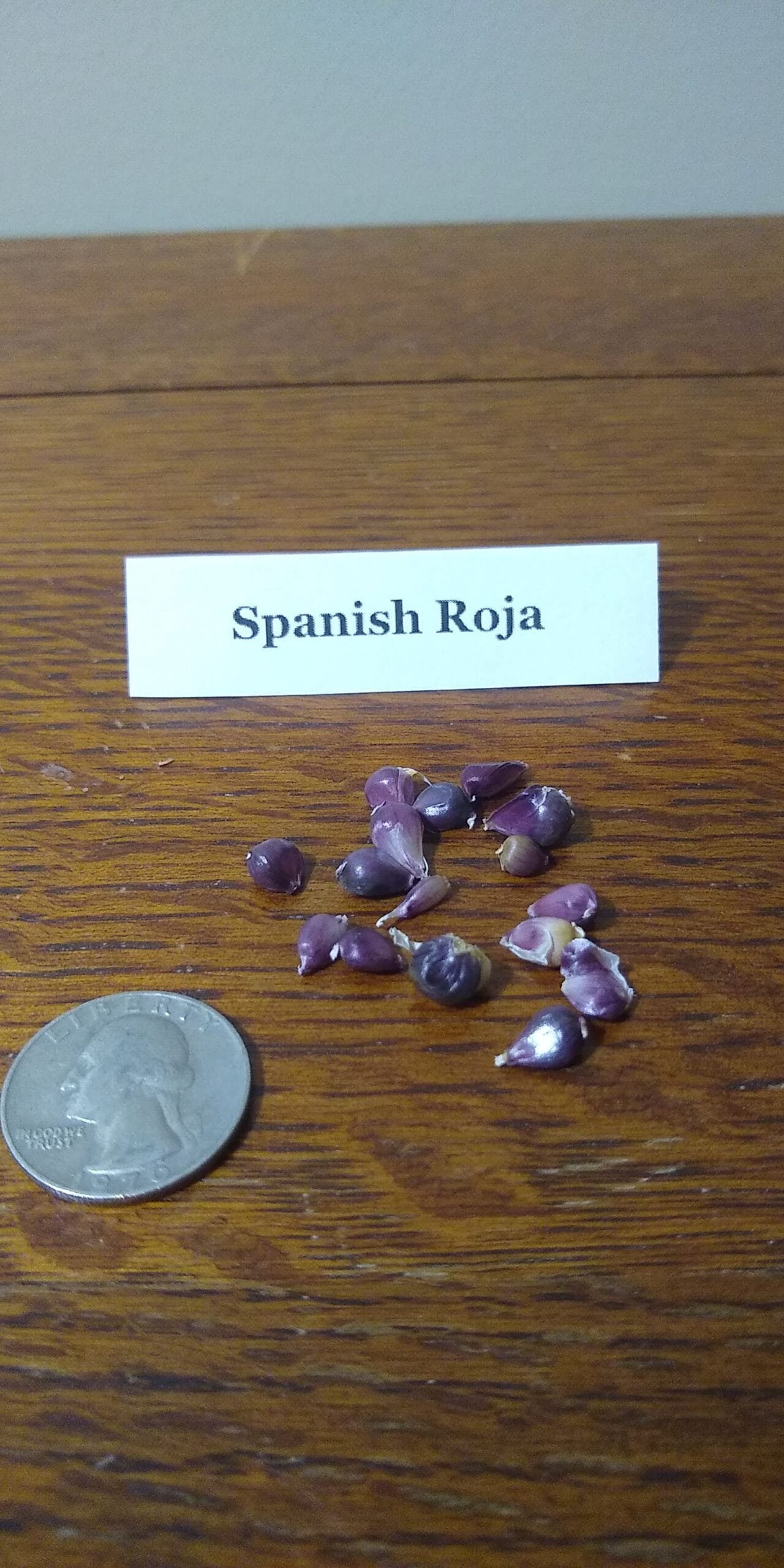 Sample Pack - Image 38