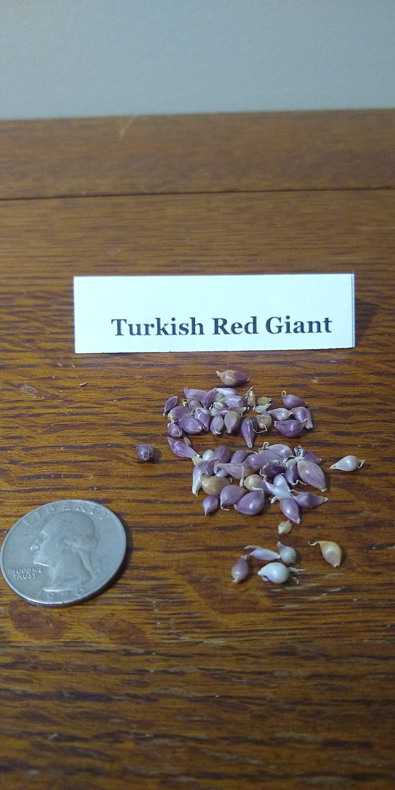 Sample Pack - Image 39