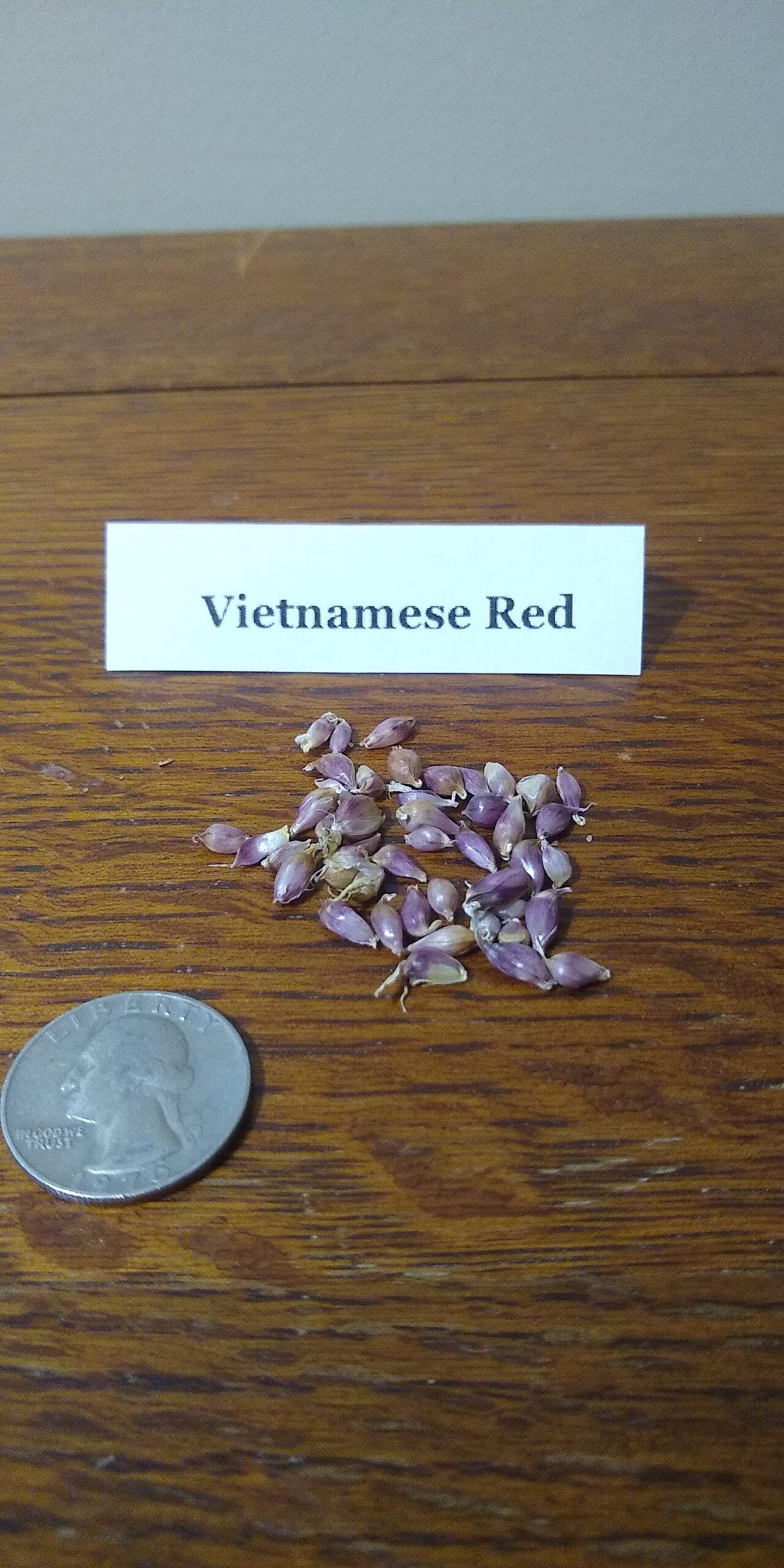 Sample Pack - Image 40