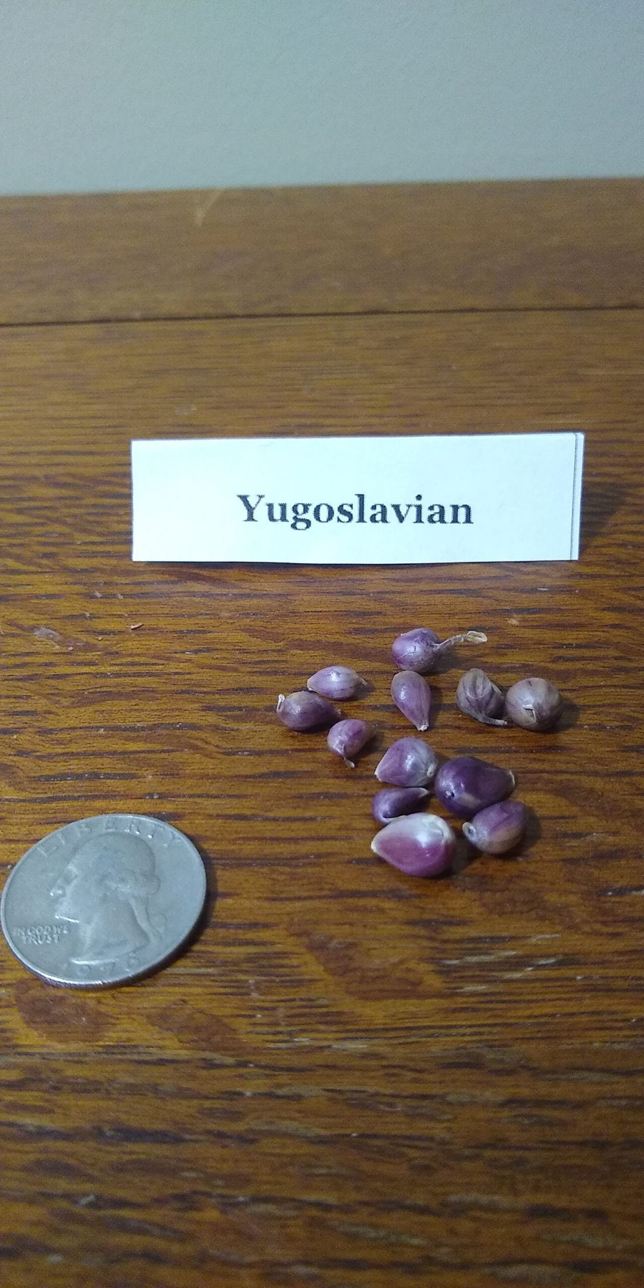 Sample Pack - Image 41