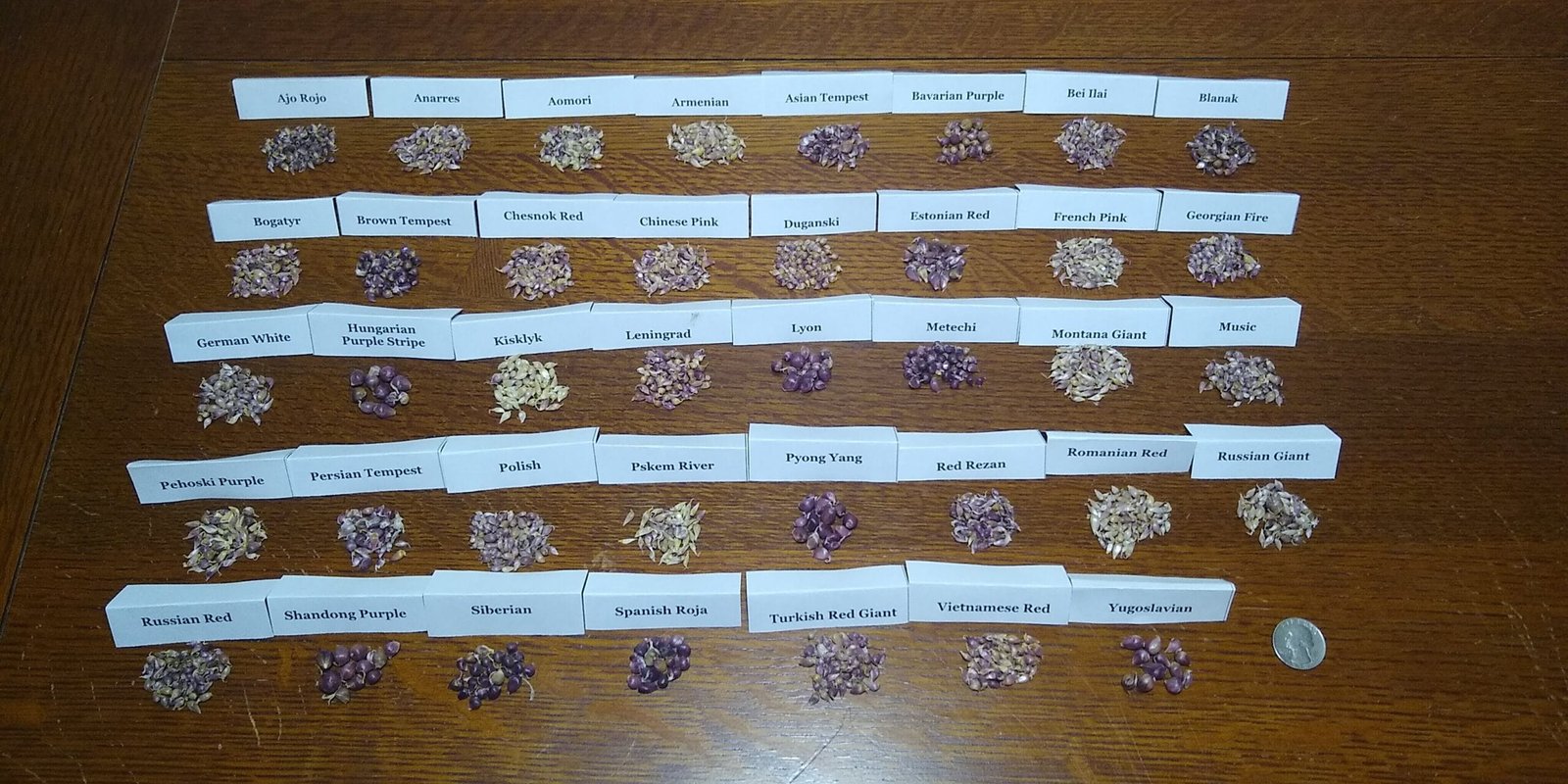 Sample Pack - Image 2