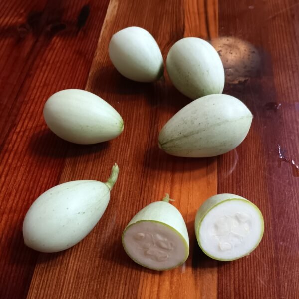 Kars Egg