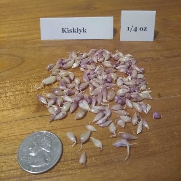 Kishlyk