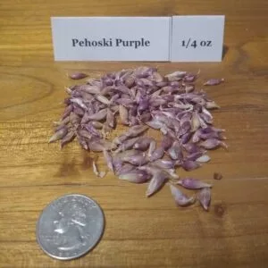 Pehoski Purple