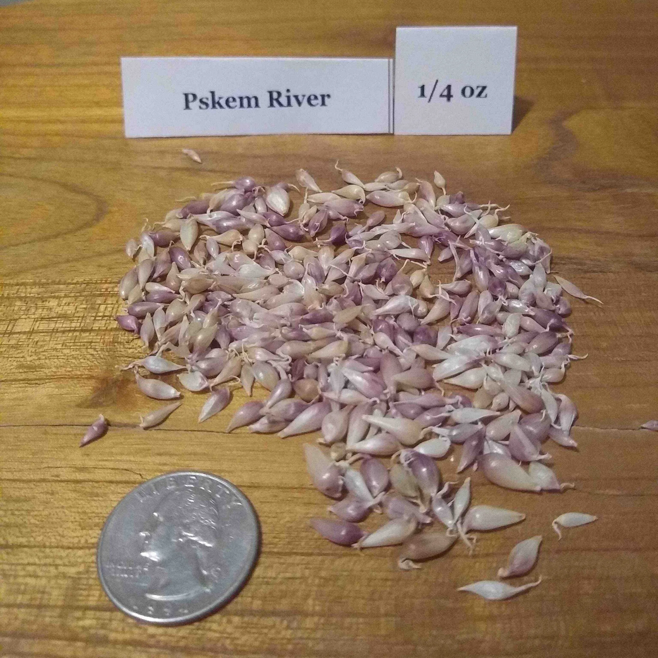 Pskem River