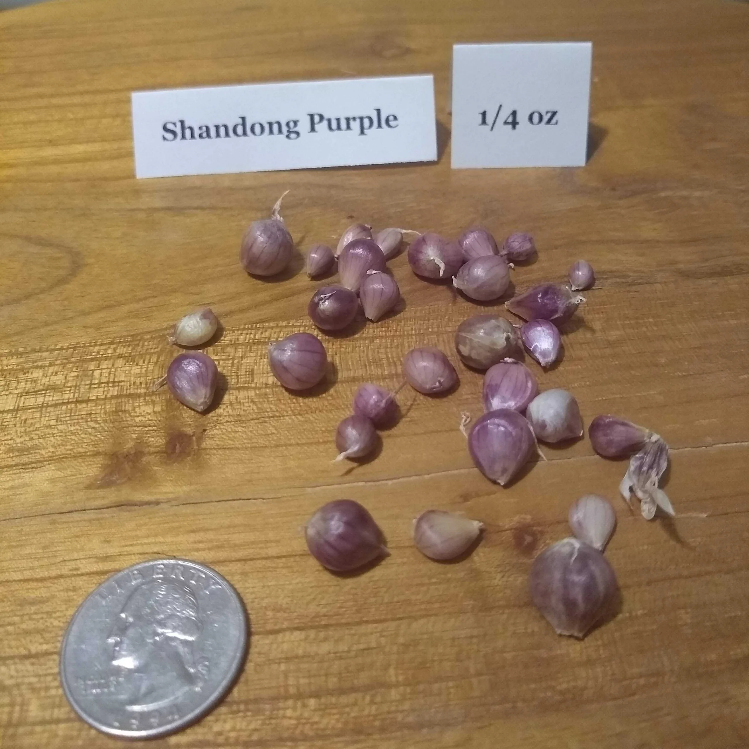Shandong Purple