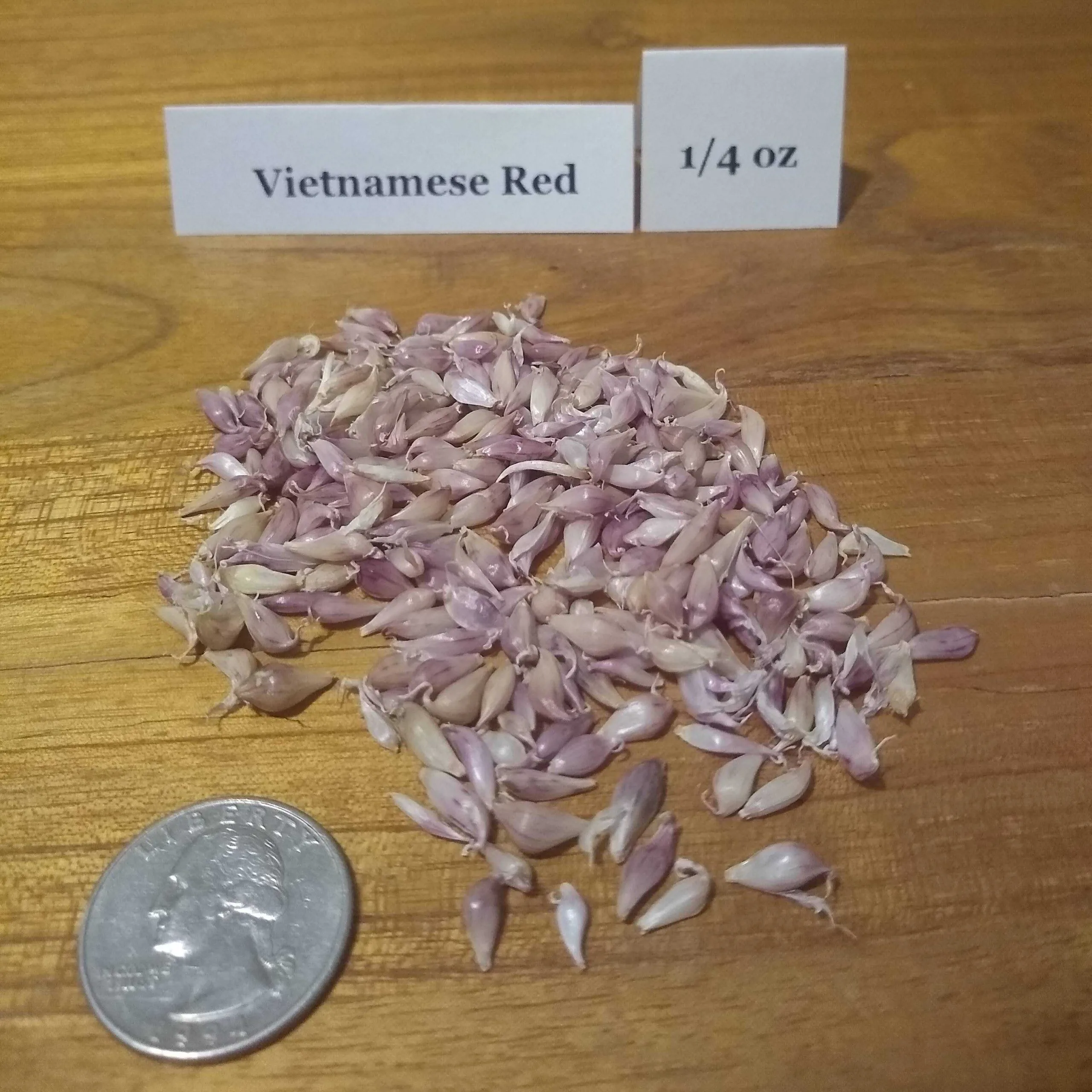 Vietnamese Red