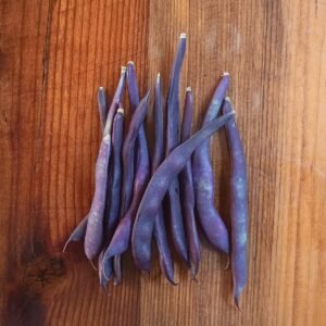 Purple Podded