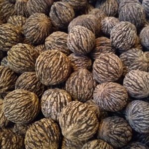 Black Walnut