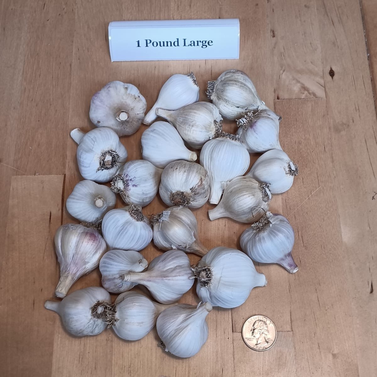 Garlic ~ mixed variety - Image 2