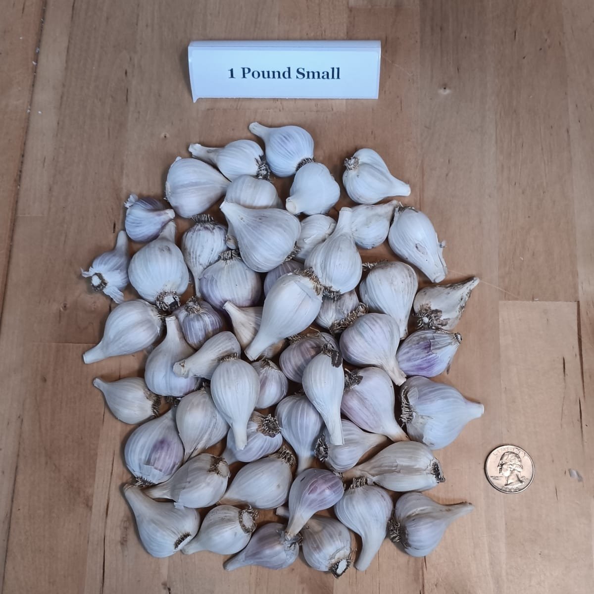 Garlic ~ mixed variety - Image 3