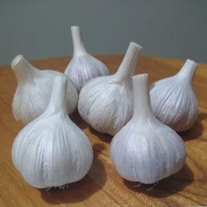 Hardneck Garlic